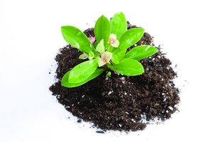 技术深度解析：原理与应用